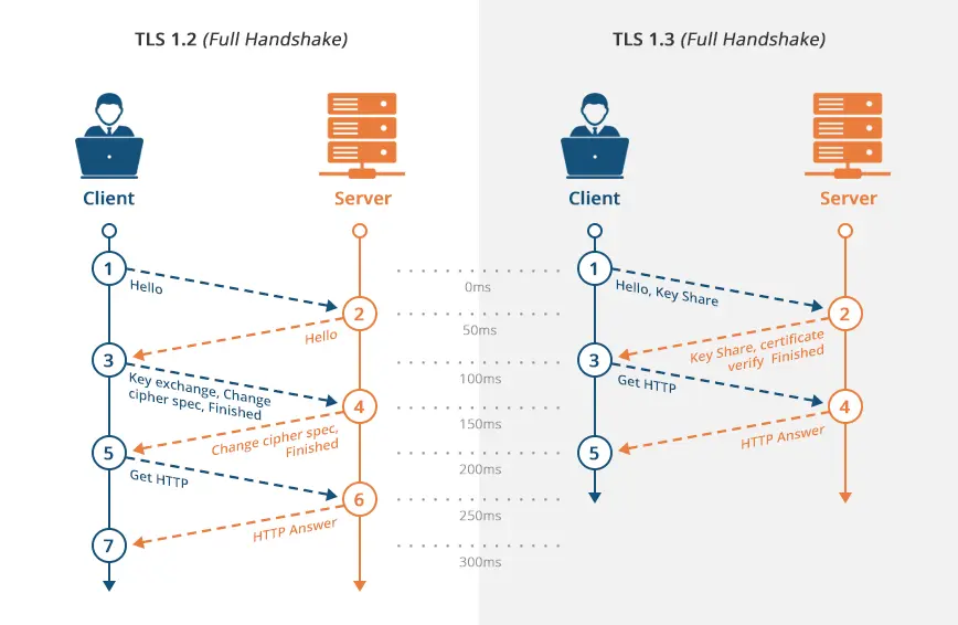 Infographic on the role of TLS and SSL in web security