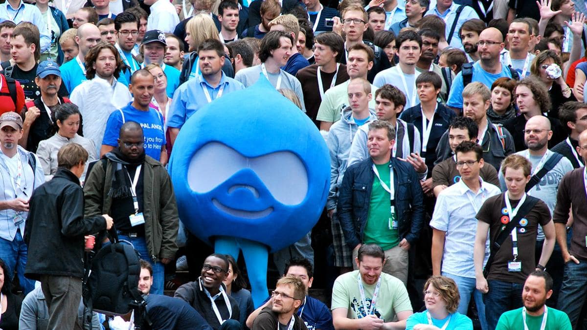 Photo of Drupal community members collaborating at a global event, contributing to open-source module development.
