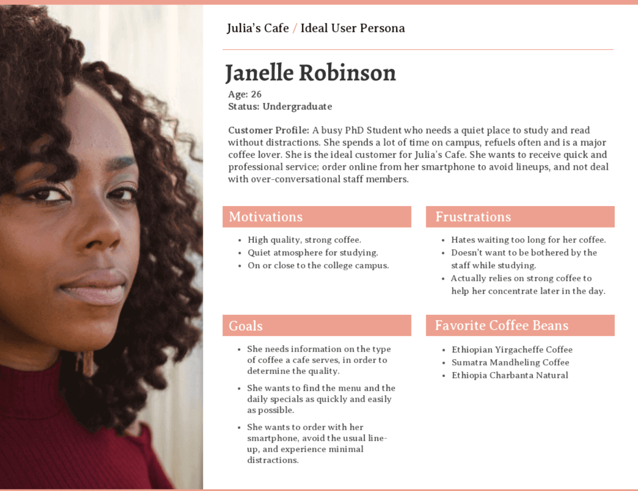 User Personas from Vengage