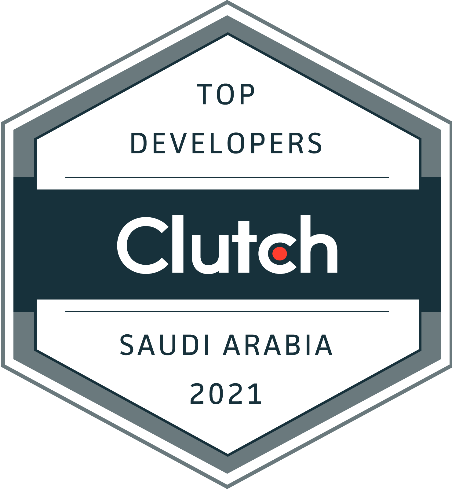 Best Web Developer in Saudi Arabia