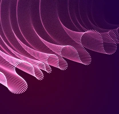 Custom web and mobile products built around real business needs
