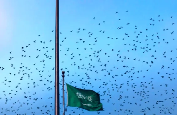 Saudi Arabia Flag 